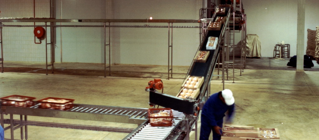 Poultry Industry Conveyors